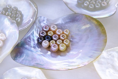 IGI School of Gemology Introduces Comprehensive   "Diploma in Pearls" Program, News, KonexioNetwork.com