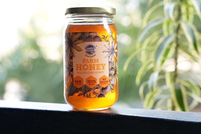Country Delight Launches NMR-Tested Honey: The Gold Standard of Purity