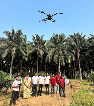 tech meets agriculture 3f oil palm employs drones for tree counting