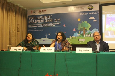 wsds 2025