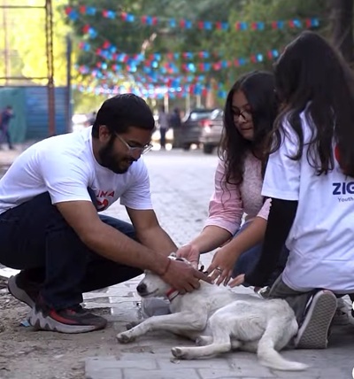 zigler youth for paws