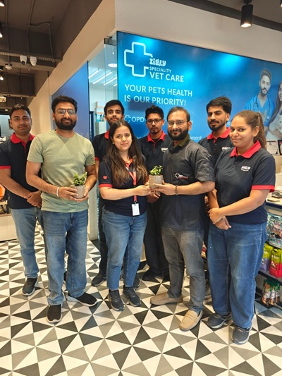 zigly store image