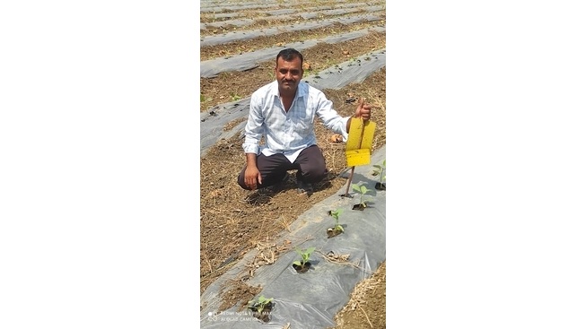 Umesh Farmer