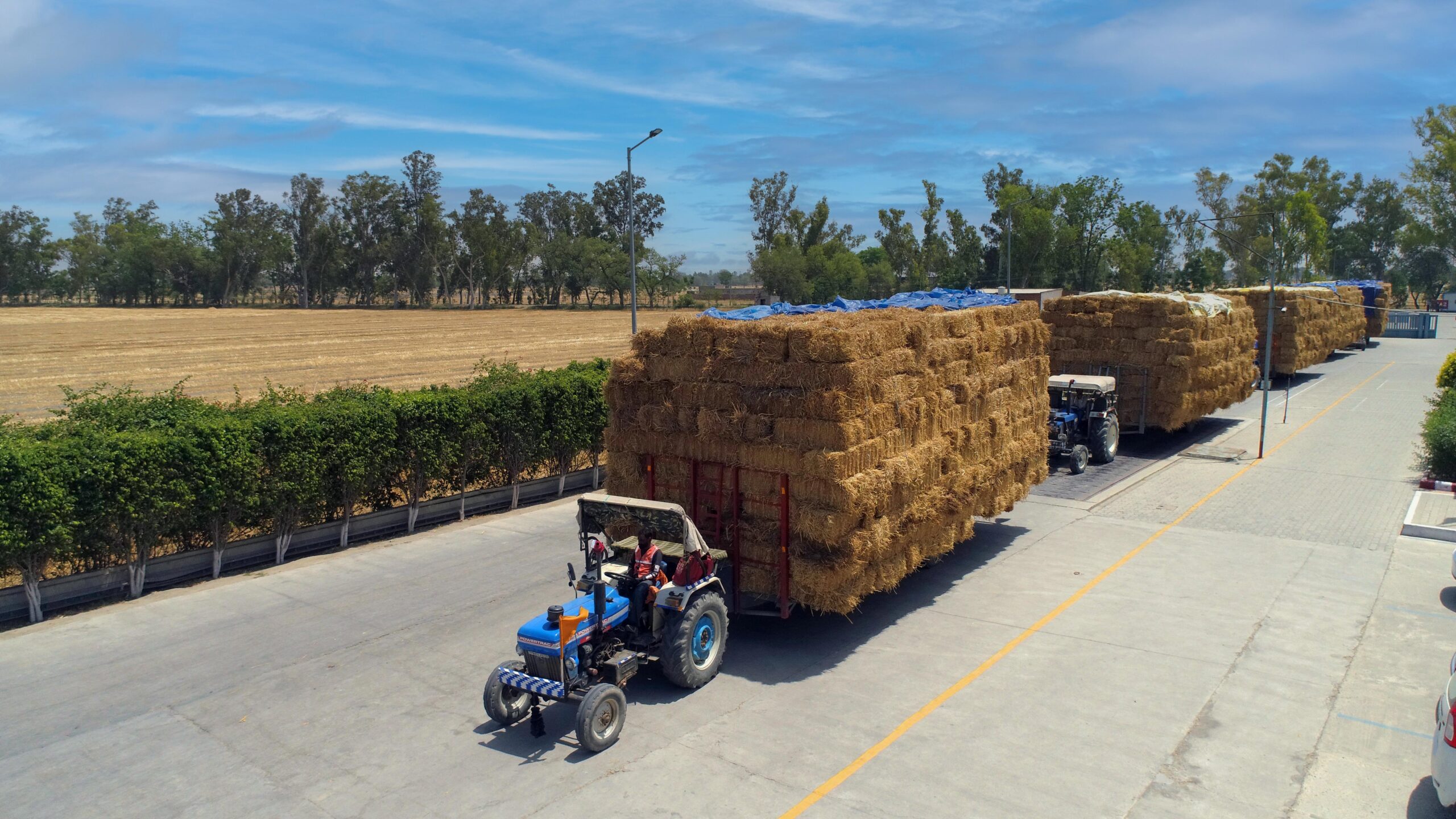 SAEL to Procure ~20 Lakh Tonnes of Paddy Stubble this Season Via Aggregator, Aims to Convert Waste into Clean Energy and Curb Pollution from Stubble Burning