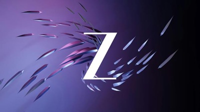 Zee Entertainment Enterprises Ltd. (‘Z’)