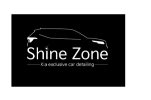 shine zone logo