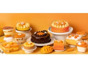 Mango Banner 1 - Brandstore WEB Banner