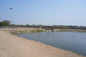 Nature Nurture_HDFC AMC_Lake (1)