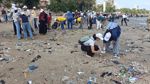 Beach Clean Up_Image 1