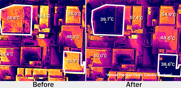 Kansai Nerolac Paints puts heat on camera! 7 Kansai Nerolac Paints puts heat on camera