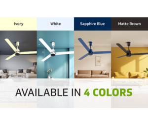 Fan colour