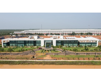 Vayona Nellore Plant