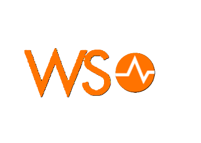 WSO2 Logo