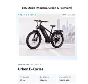 eBike 1