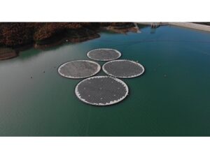 Tata Power partners with Norway’s Ocean Sun to bring innovative membrane-based floating solar technology to India